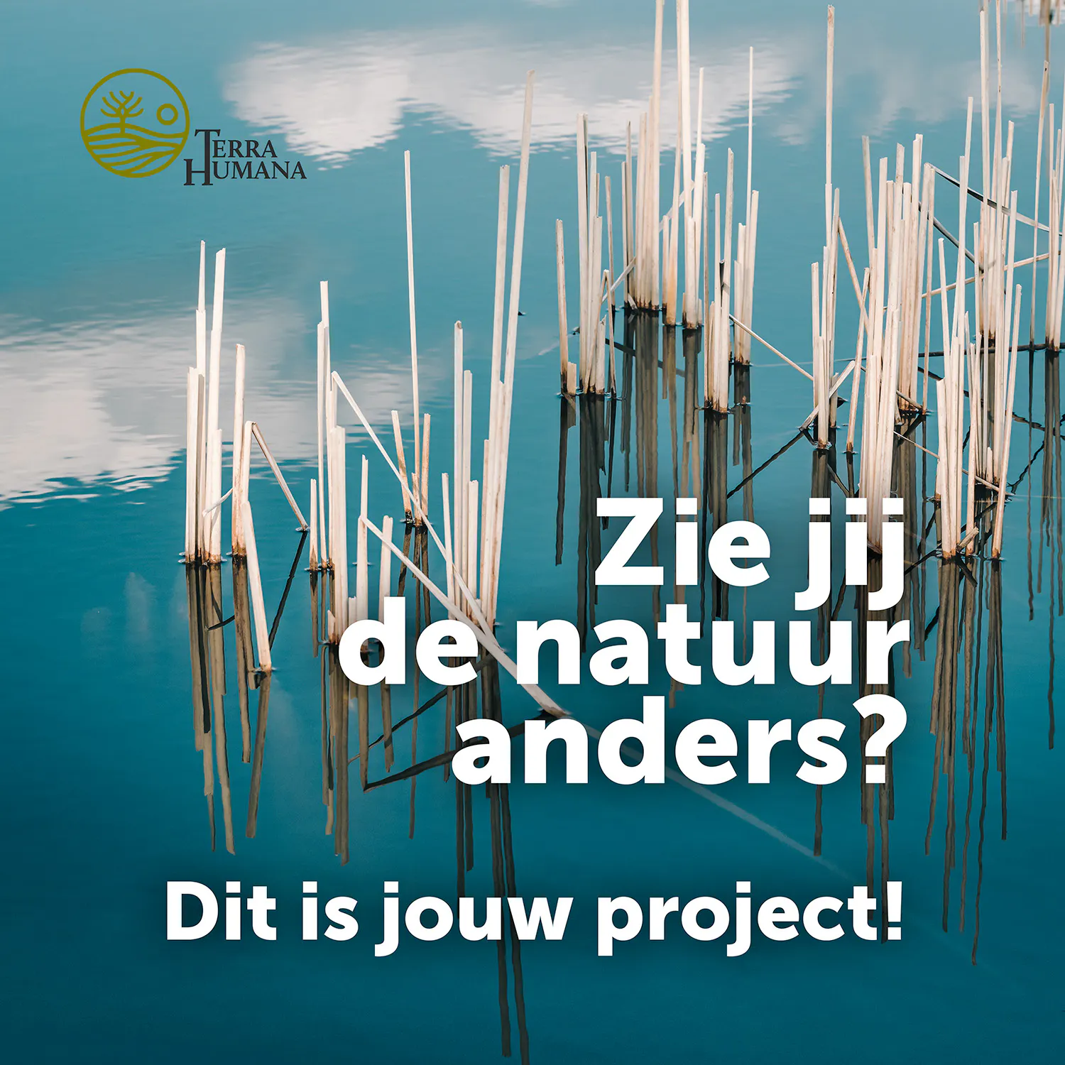 Zie jij de natuur anders? Dit is jouw project!